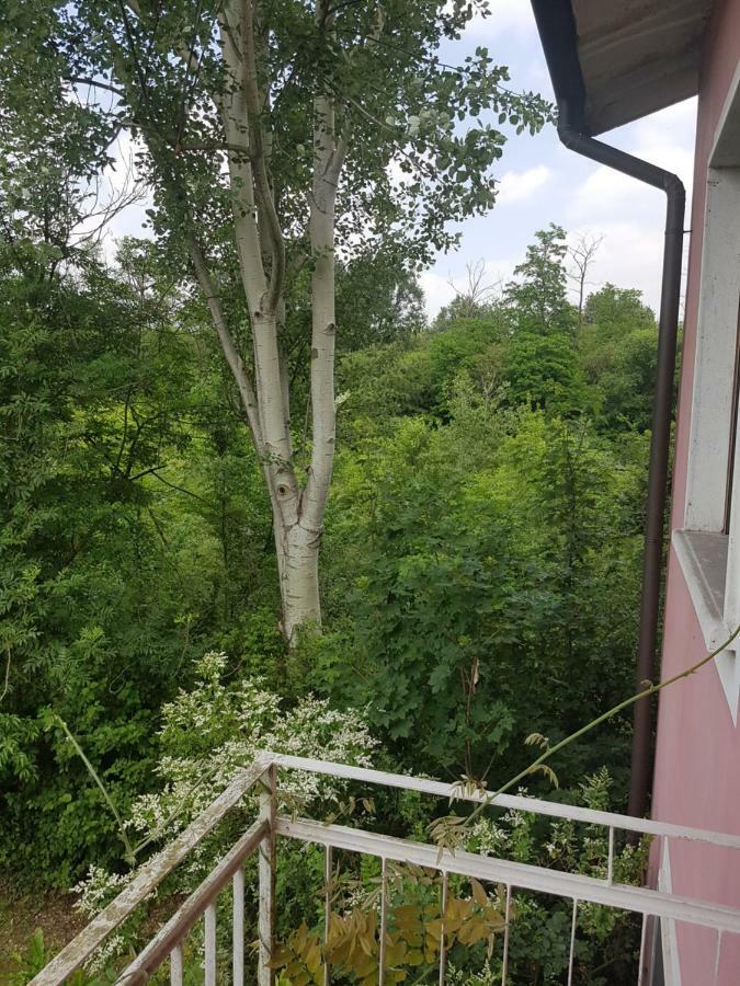 Le Case Nel Bosco Vanzago Kültér fotó